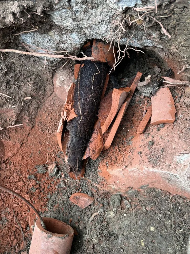 Slide of Mainline Plumbing