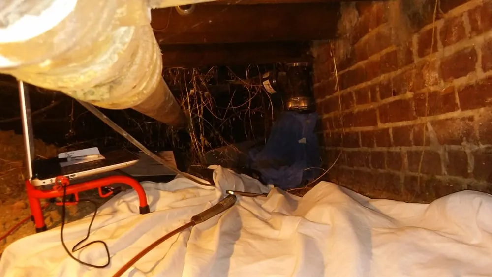 Slide of Mainline Services