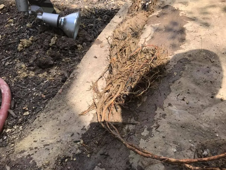 Trusted pipe repair experts serving Burton, OH - Maintenance Plus Group