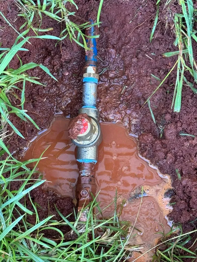 Slide of Major League Plumbing