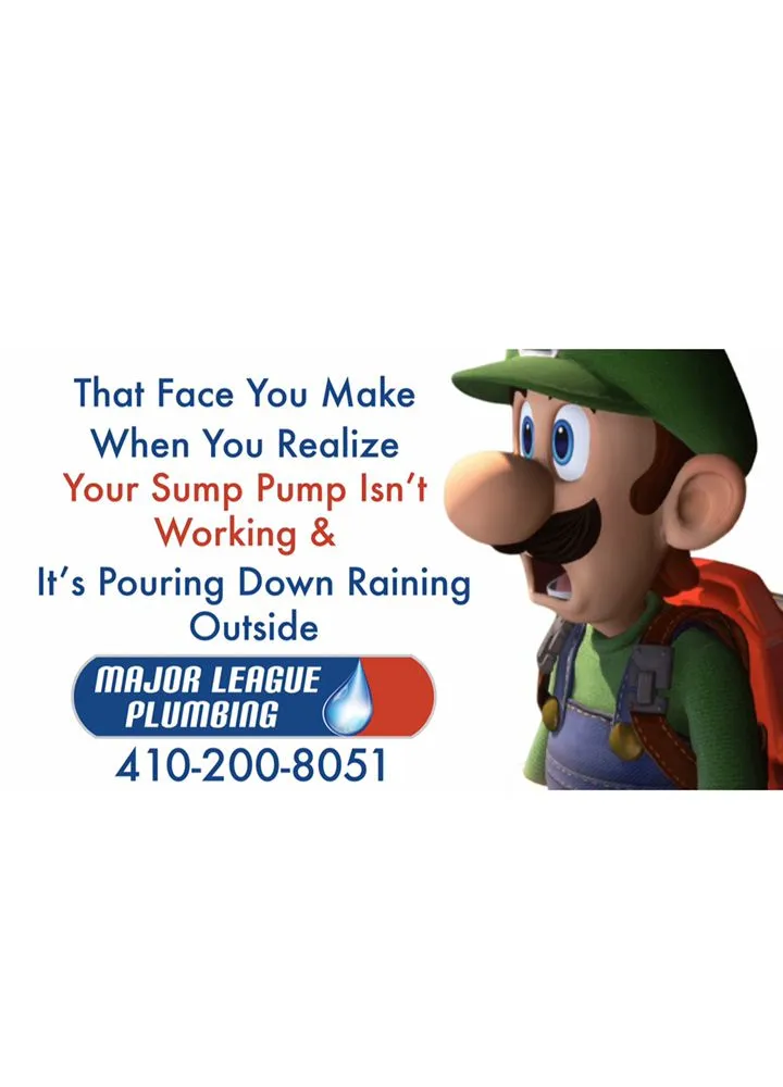 Slide of Major League Plumbing