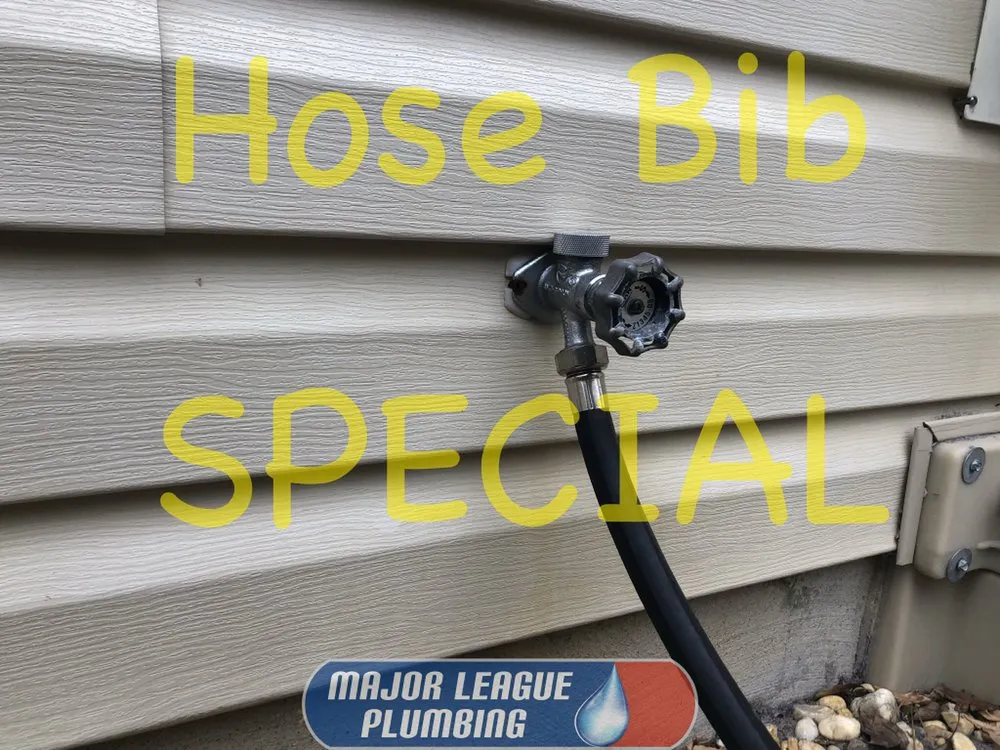 Slide of Major League Plumbing