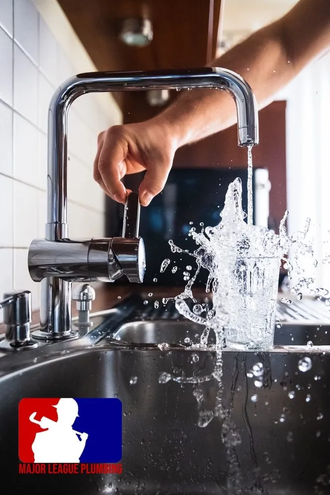 Slide of Major League Plumbing