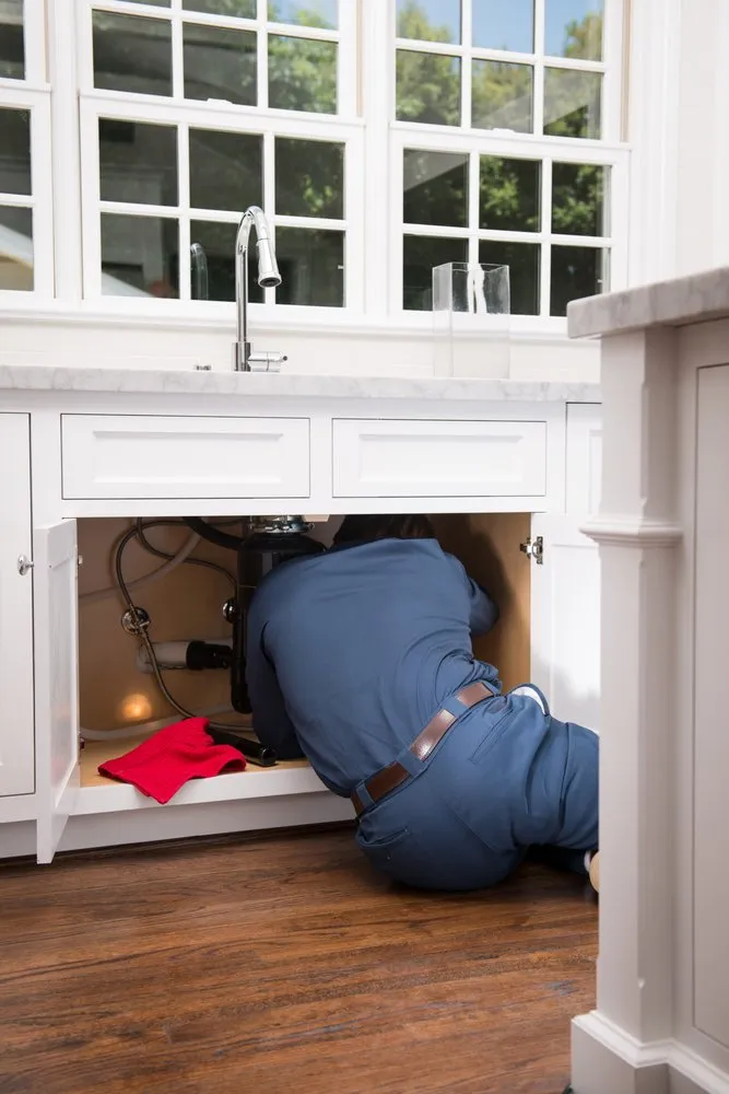 Slide of Major League Plumbing