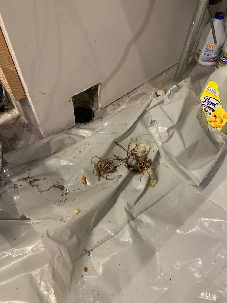 Quality plumbing repair for homes in Los Angeles, CA by Major League Plumbing