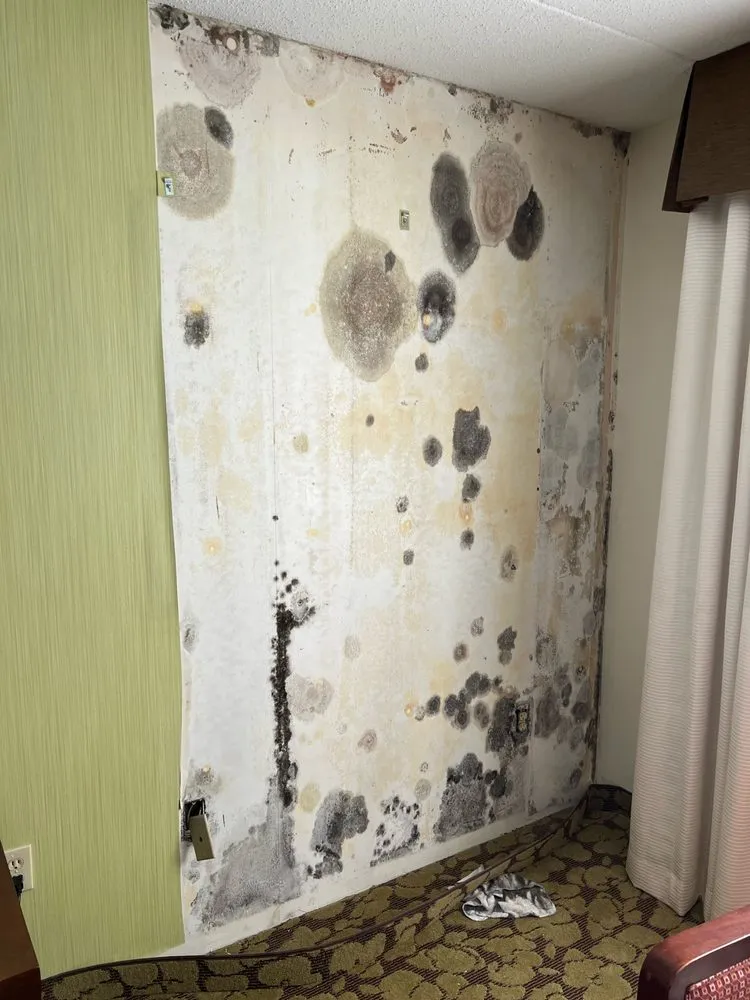 Slide of Malcolm of All Trades