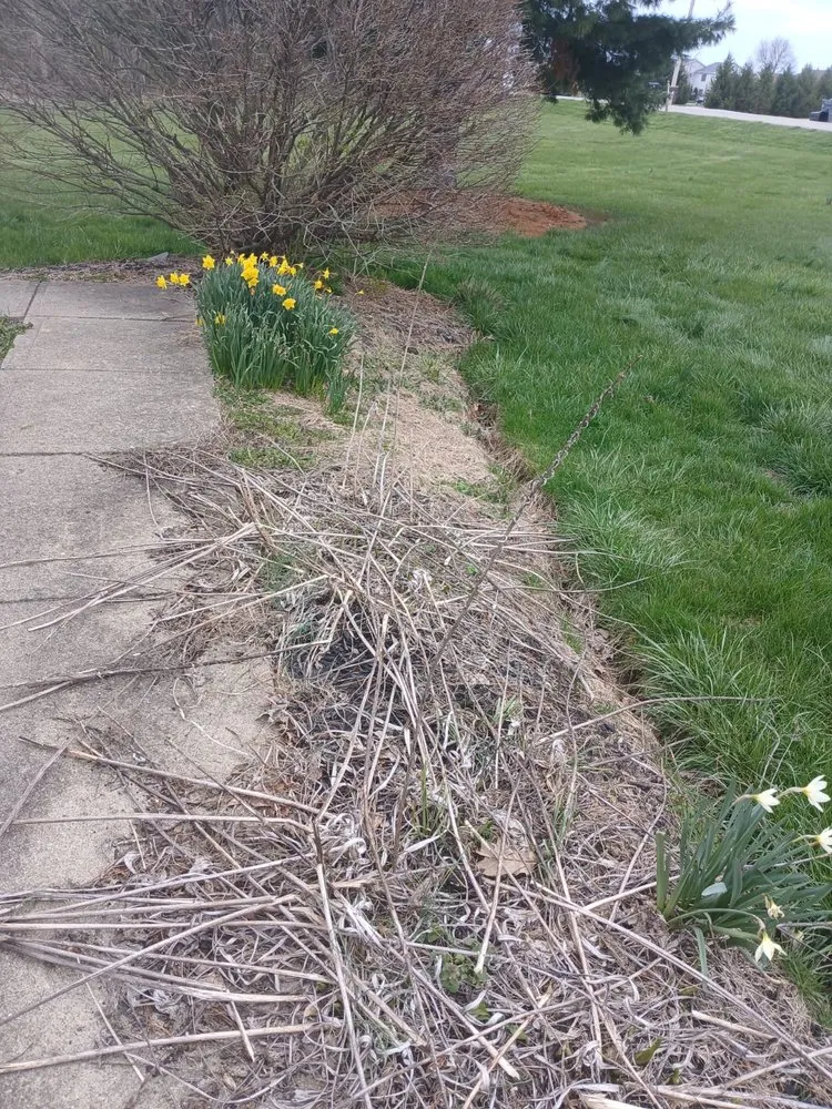 Slide of Maldonado Landscaping