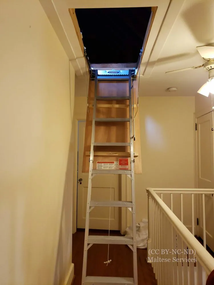 Slide of Maltese Services