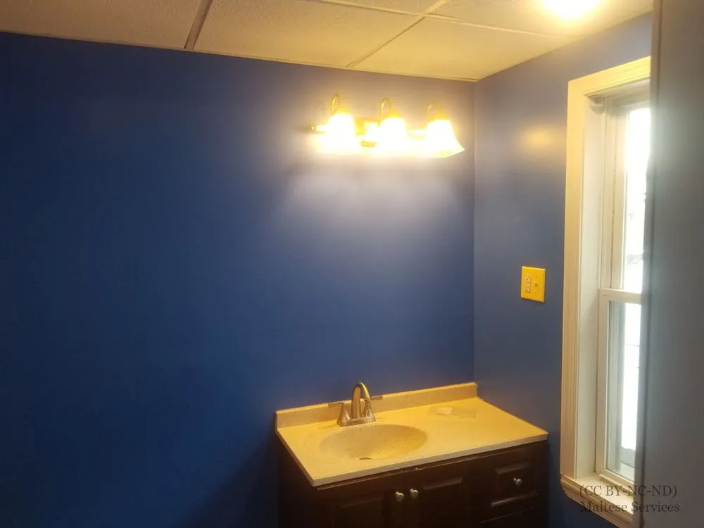 Slide of Maltese Services