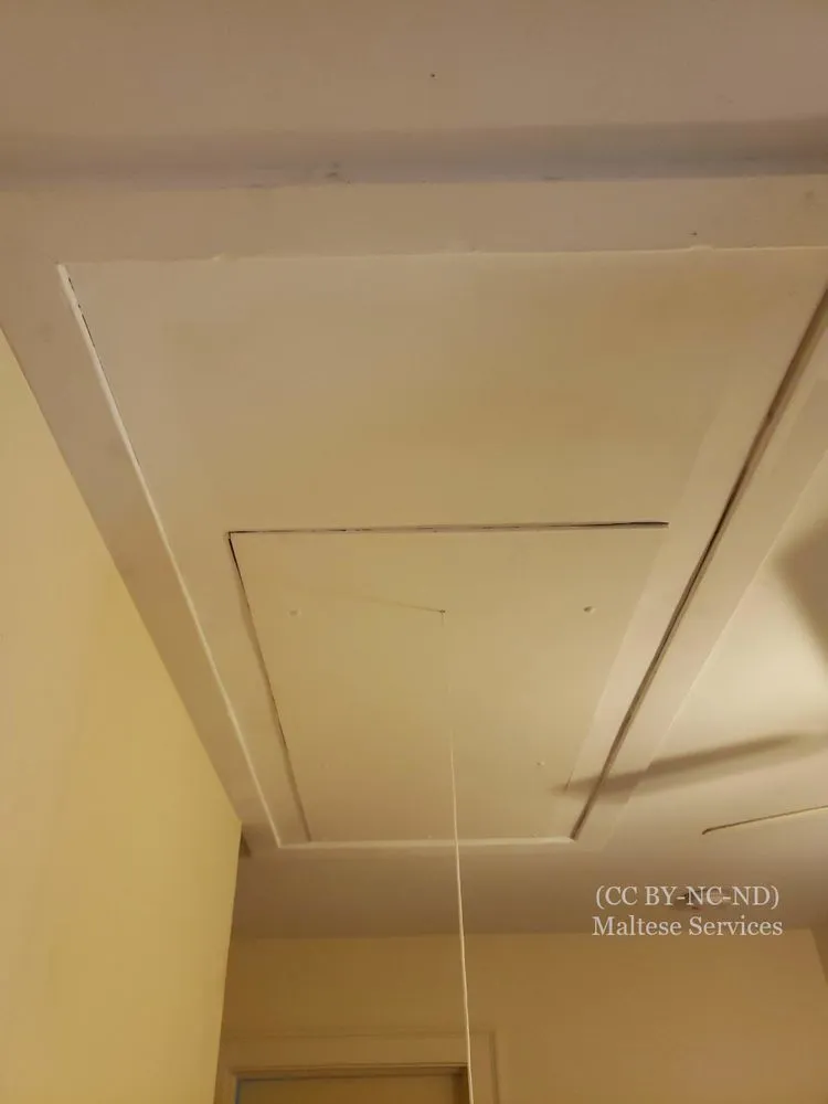 Slide of Maltese Services