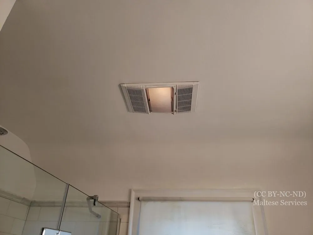 Slide of Maltese Services