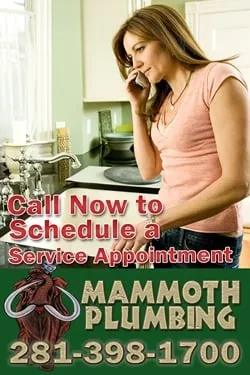 Expert leak detection for homes in Houston, TX by Mammoth Plumbing - Houston's Emergency Plumbers
