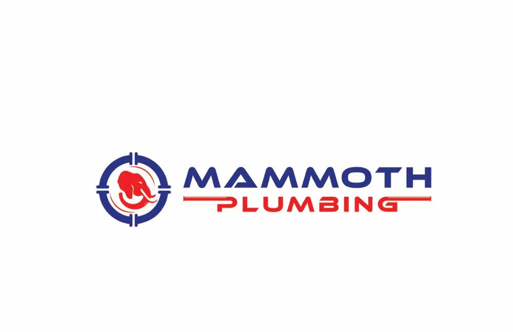 Slide of Mammoth Plumbing