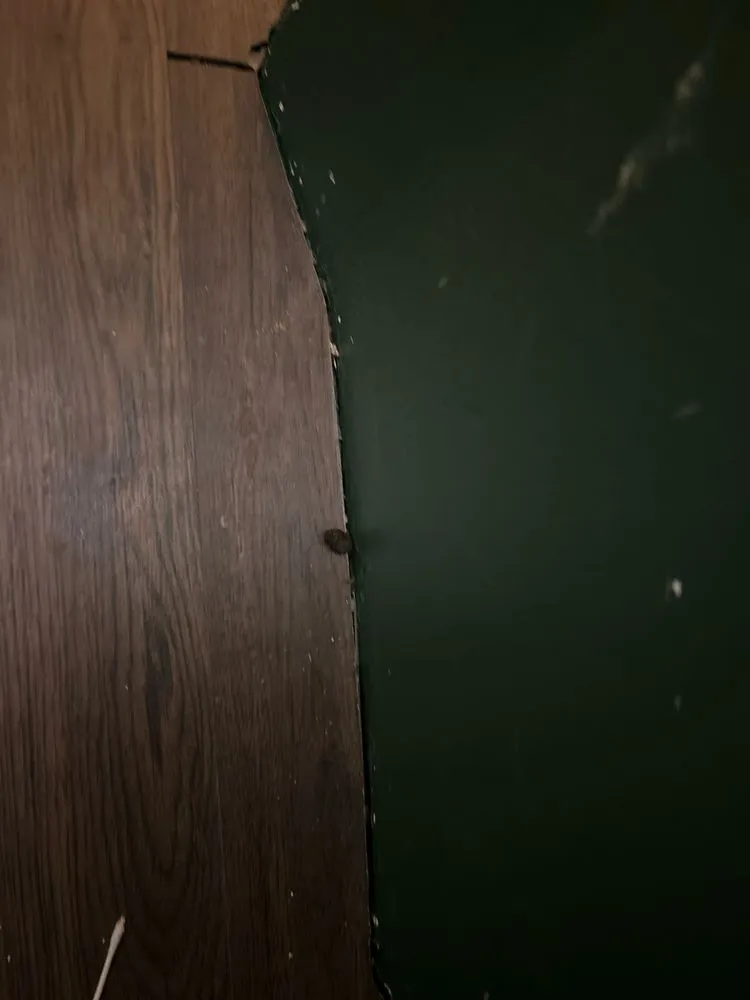 Slide of Mammoth Restoration Arizona