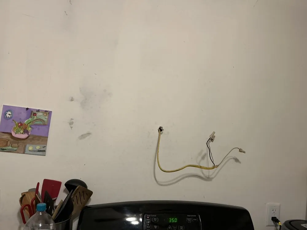 Slide of Mammoth Restoration Arizona