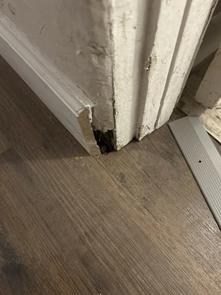 Slide of Mammoth Restoration Arizona