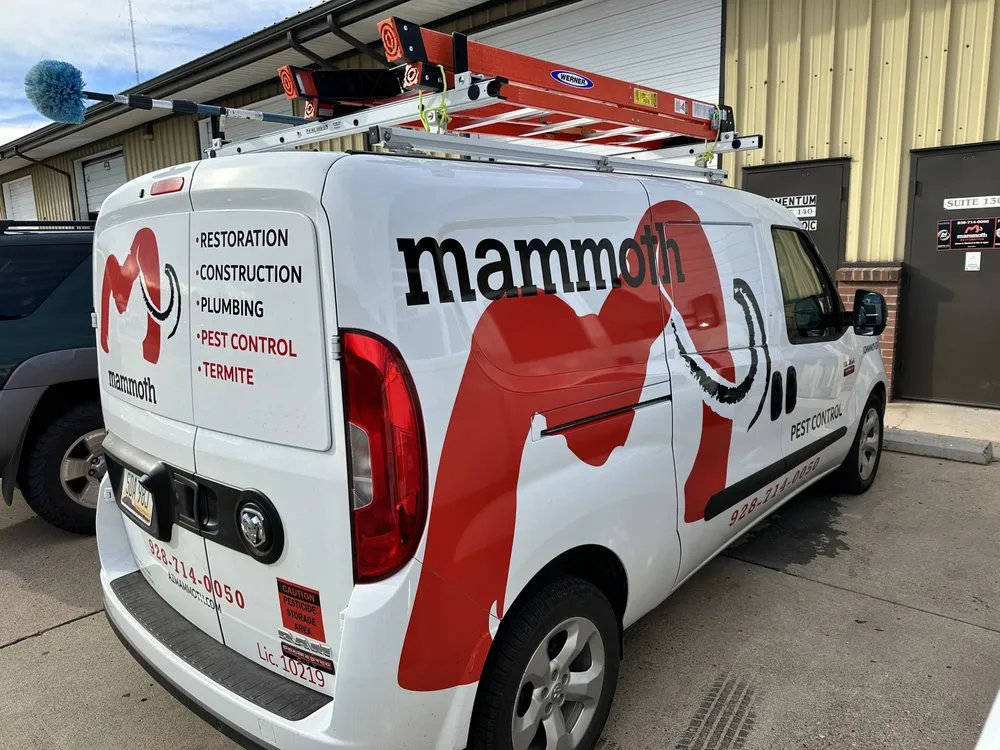 Slide of Mammoth Restoration Arizona