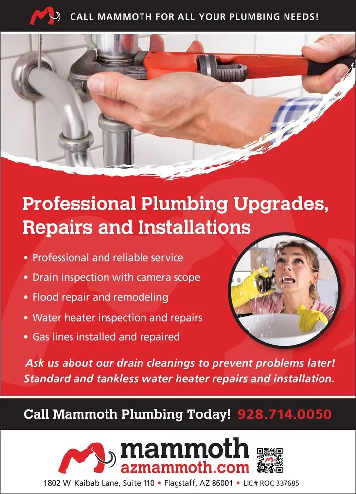 Slide of Mammoth Restoration Arizona