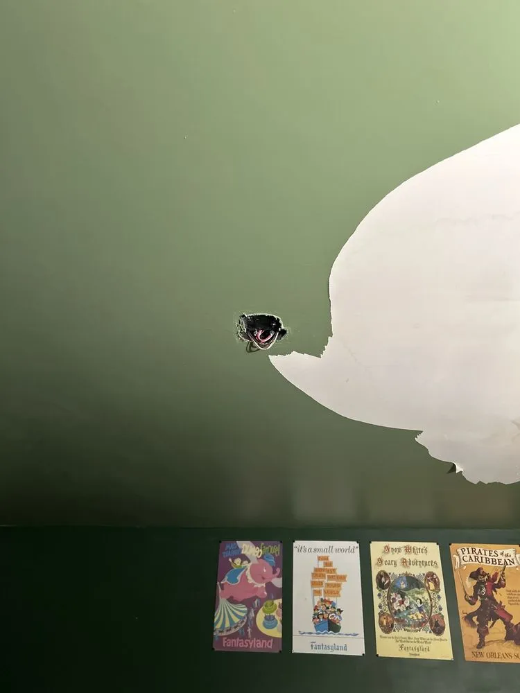 Slide of Mammoth Restoration Arizona