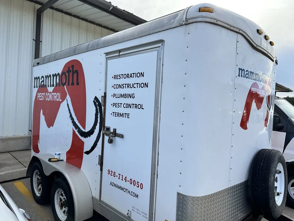 Slide of Mammoth Restoration Arizona