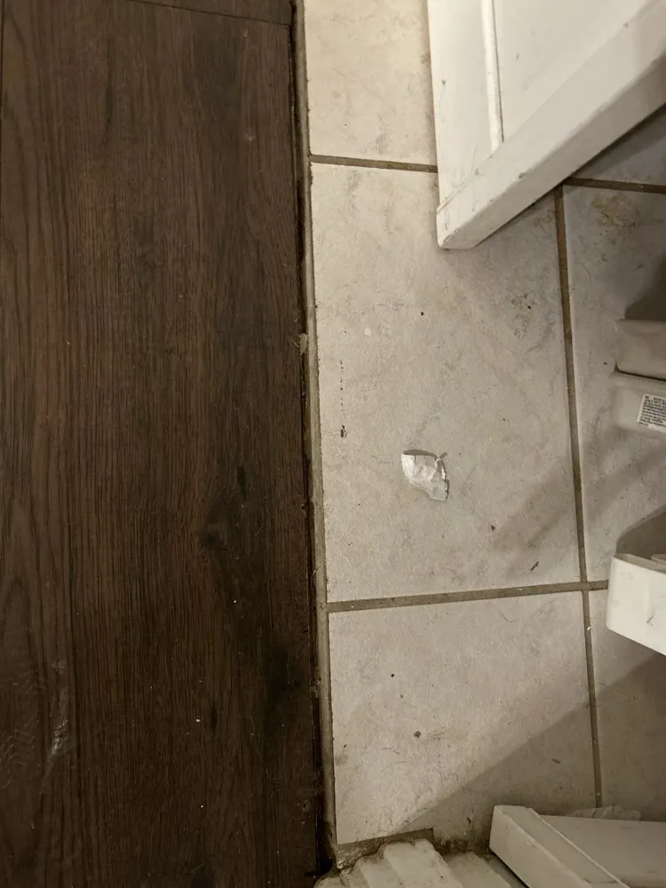 Slide of Mammoth Restoration Arizona