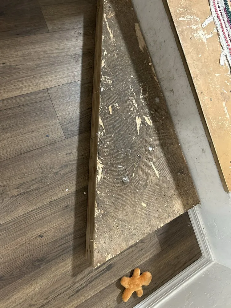 Slide of Mammoth Restoration Arizona