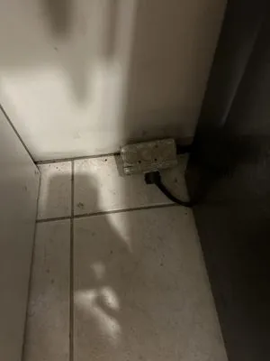 Mammoth Restoration Arizona Logo