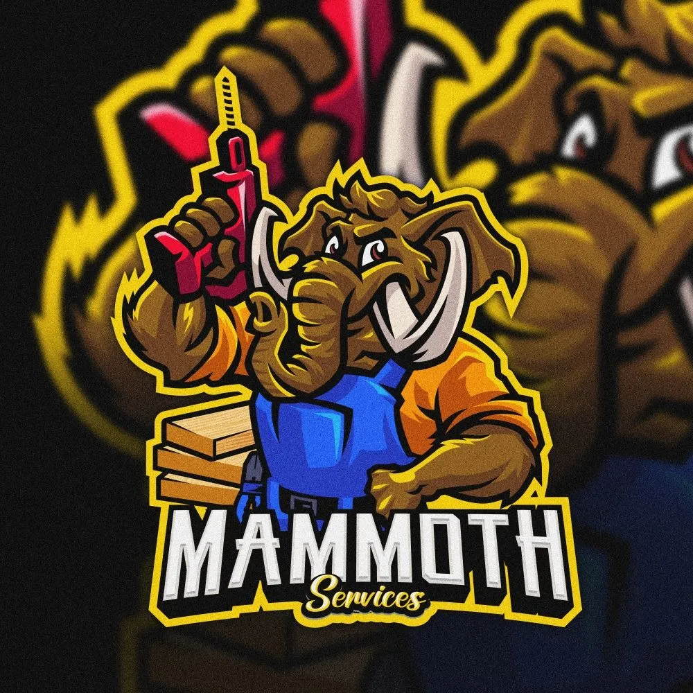 Slide of Mammoth Services