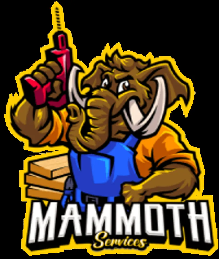 Slide of Mammoth Services