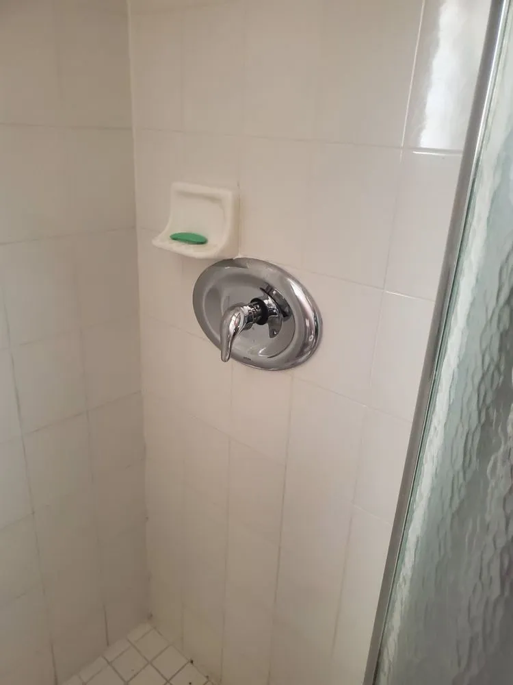 Slide of Mammoth Solutions