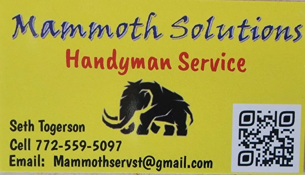 Slide of Mammoth Solutions