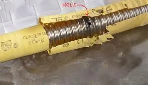 Slide of Man Vs Tree