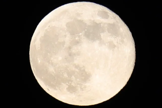 Slide of Mandeville Maintenance