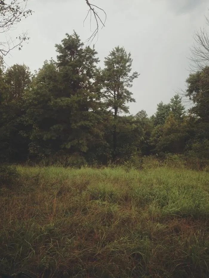 Slide of Mandy's Septic Solutions