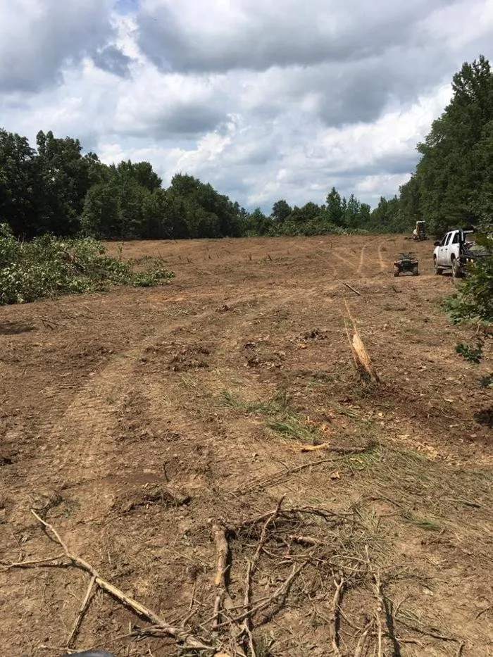 Slide of Mandy's Septic Solutions