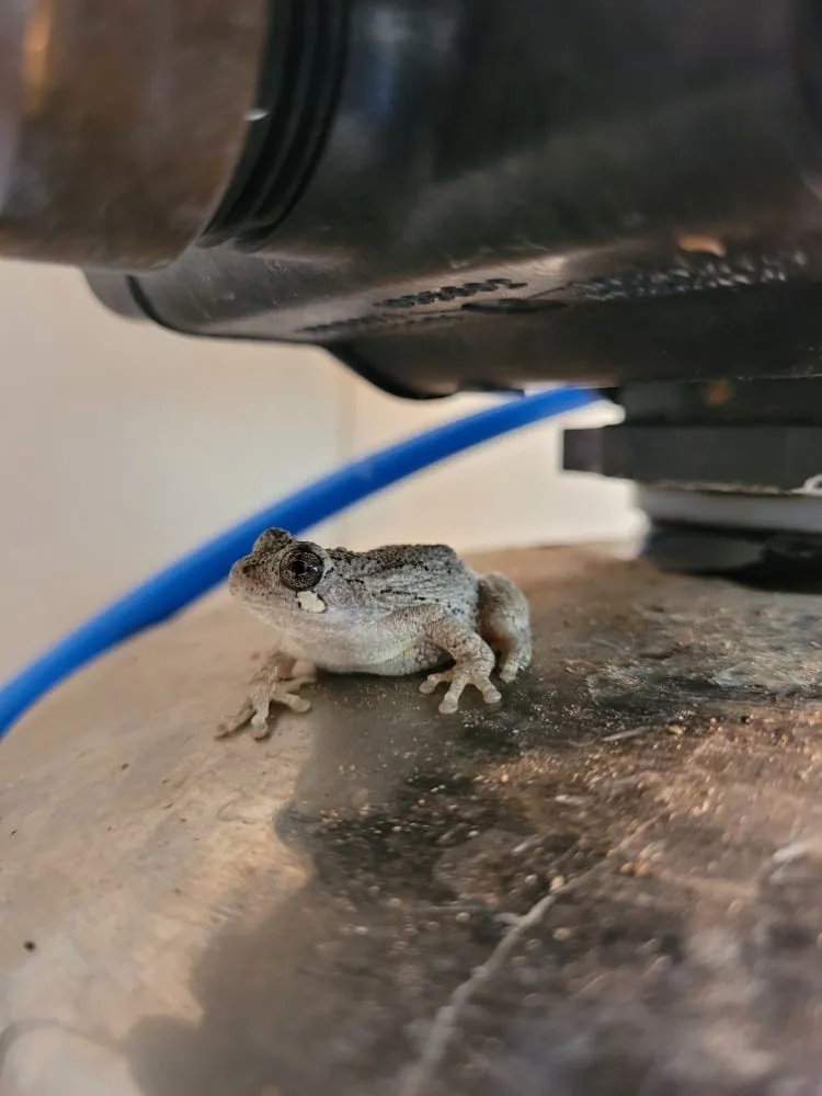 Slide of Maness Plumbing Service