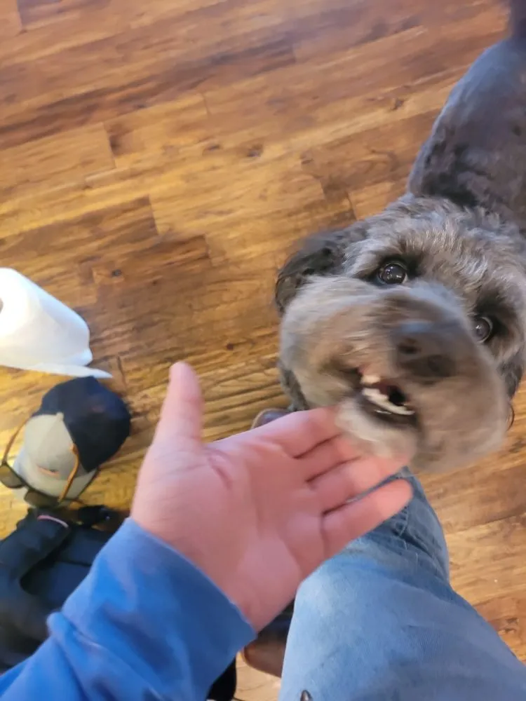 Emergency leak detection in Warr Acres, OK by Maness Plumbing Service