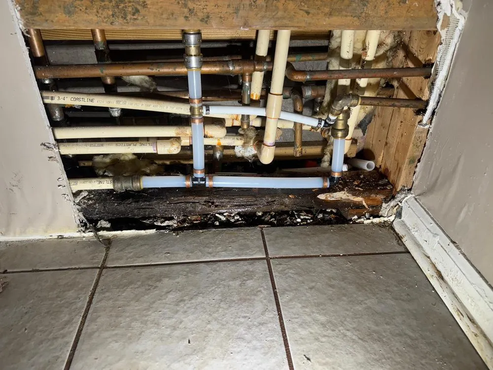 Slide of Manny Plumbing