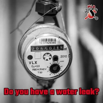 Slide of Manny's Leak