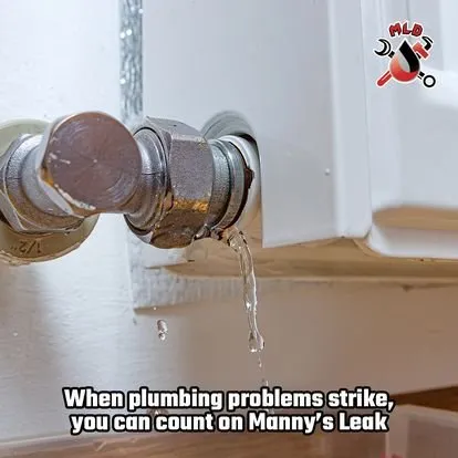 Slide of Manny's Leak