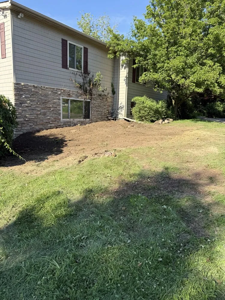 Slide of Mansour’s Innovations