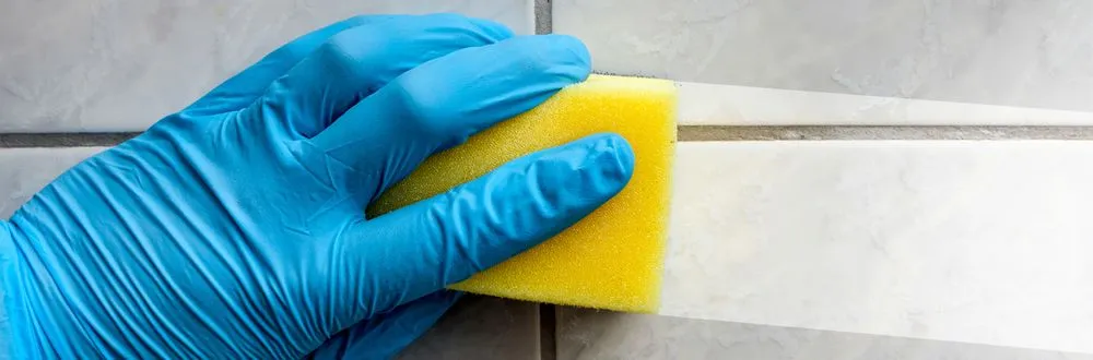 Slide of Maple Property