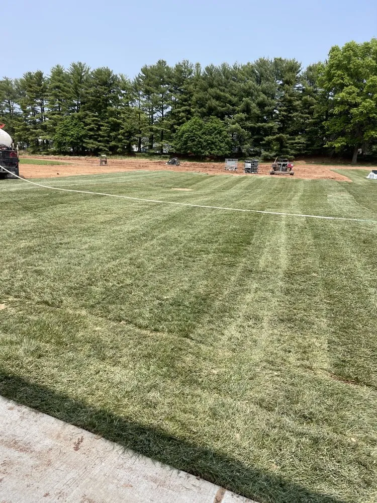 Slide of Marcia Excavating