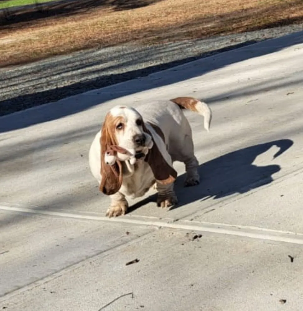 Slide of Mares Plumbing