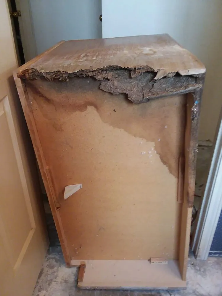 Slide of Maria's landscapes and building maintenance