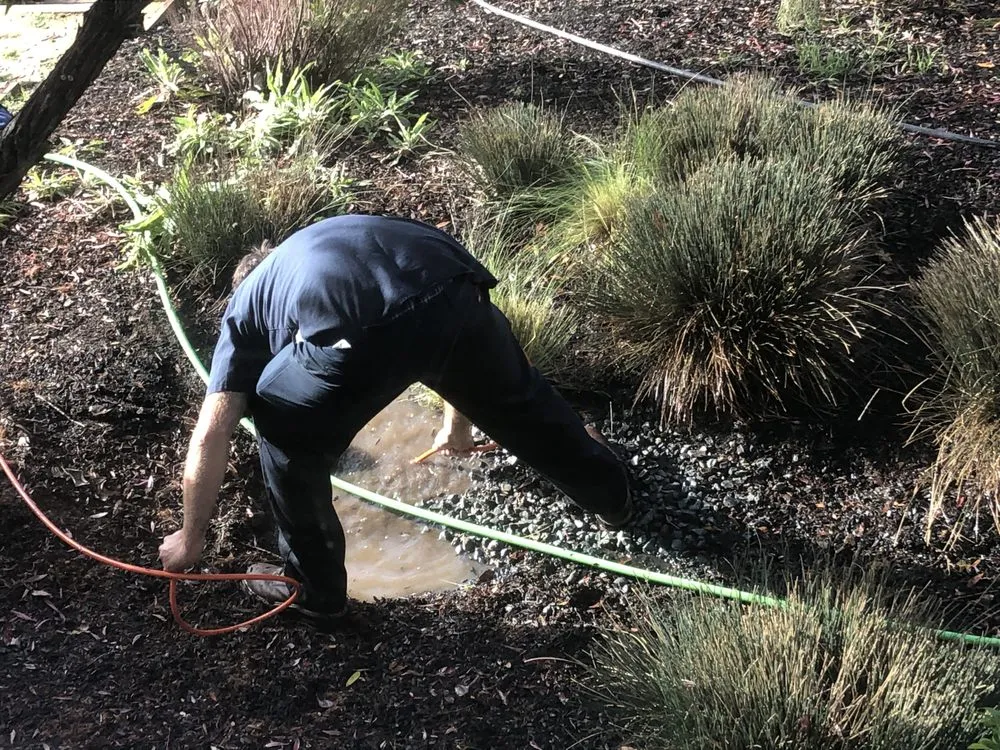 Slide of Marin Roto-Rooter