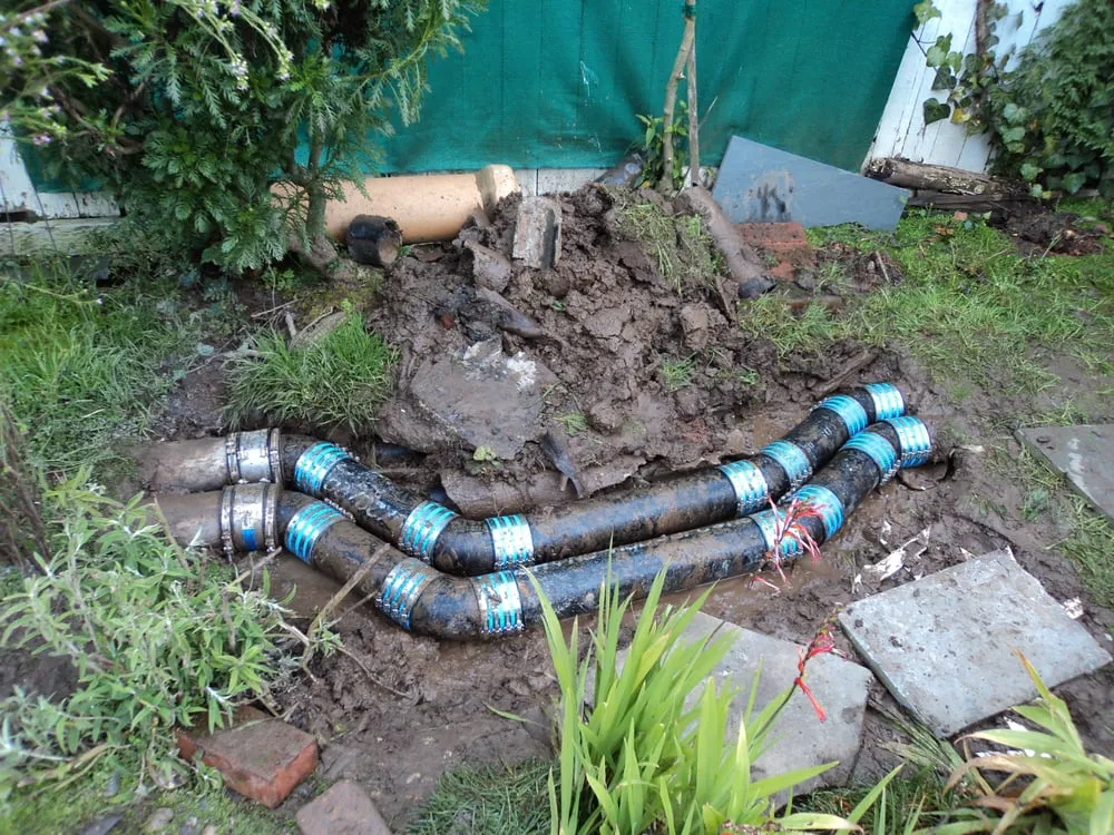 Top-rated plumbing repair service in Novato, CA - Marin Roto-Rooter