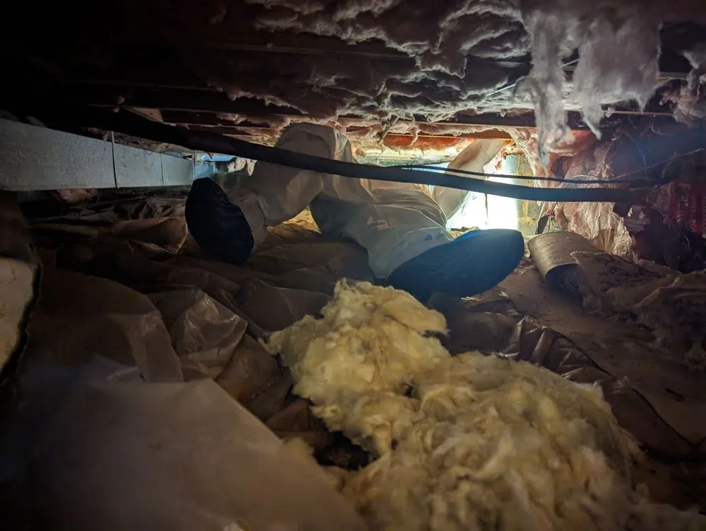 Slide of Marines Service Co.