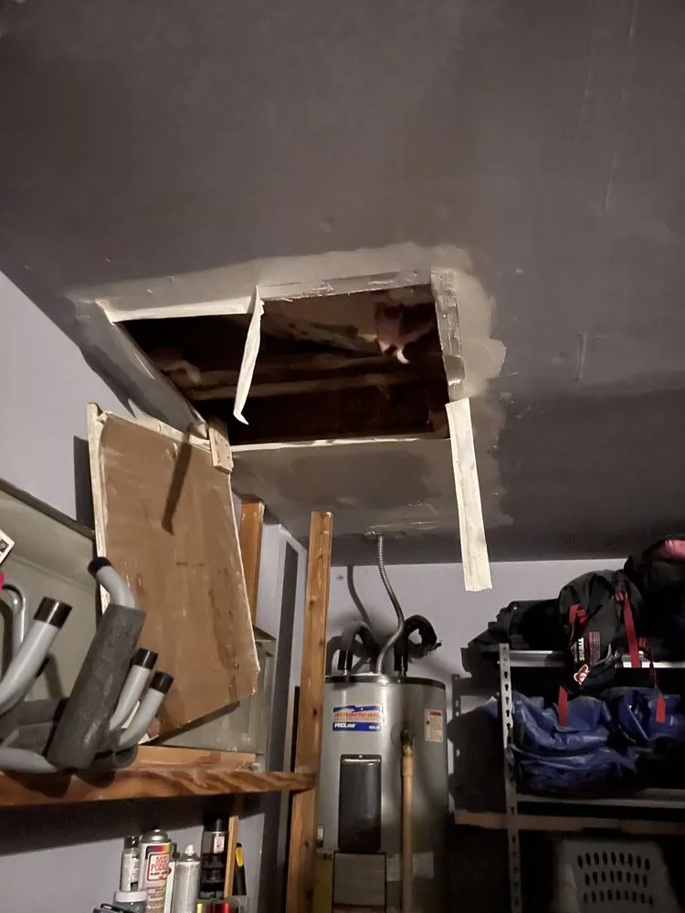 Slide of Mario Bros Plumbing