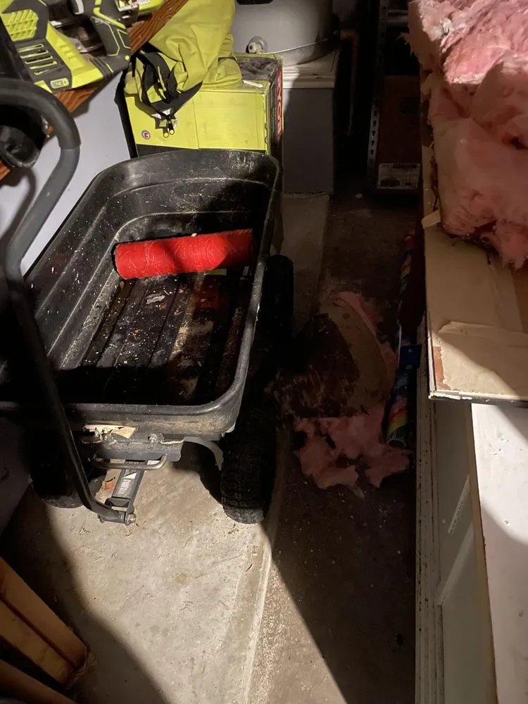 Slide of Mario Bros Plumbing